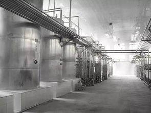 招商令 調味品 食醋 廠投資選址