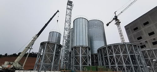 蒼溪縣總投資1.2億元飼料加工廠預(yù)計(jì)二季度試生產(chǎn)