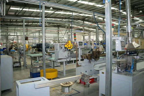 外商加大在奉賢投資力度,隆福拉索新工廠開業